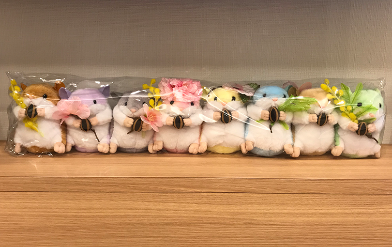 受付でお待ちしているハムスター達